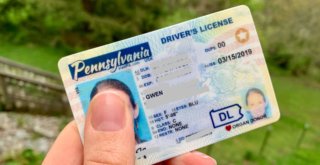 Gwen's driver's license with REAL ID designation